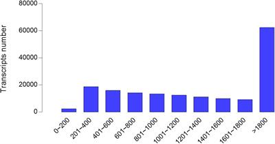 Hepatopancreas Transcriptome Profiling Analysis Reveals Physiological Responses to Acute Hypoxia and Reoxygenation in Juvenile Qingtian Paddy Field Carp Cyprinus carpio var qingtianensis